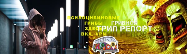 молекула духа Алексеевка