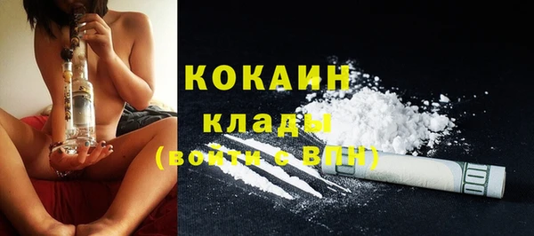 дживик Алзамай