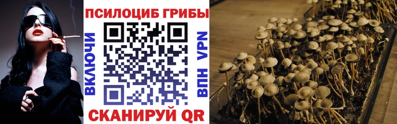 как найти закладки  Льгов  Галлюциногенные грибы Magic Shrooms 